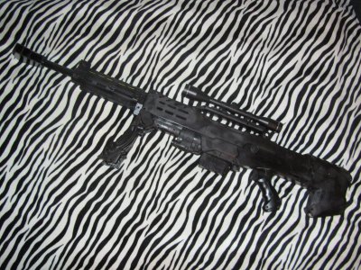 Longshot .50 Cal. 2.JPG