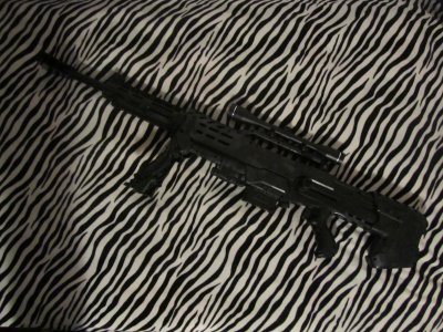 Longshot .50 Cal. 1.JPG