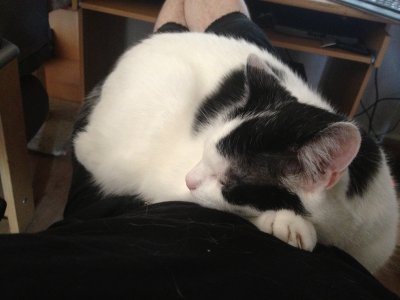 Foto 27.07.13 11 36 48.jpg