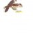 schreivogel