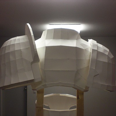 Thorso/ Schultern von hinten