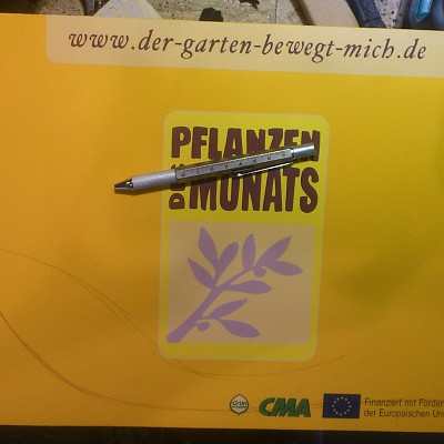 2014 06 02 18.02.24
30mm Polsterplatte