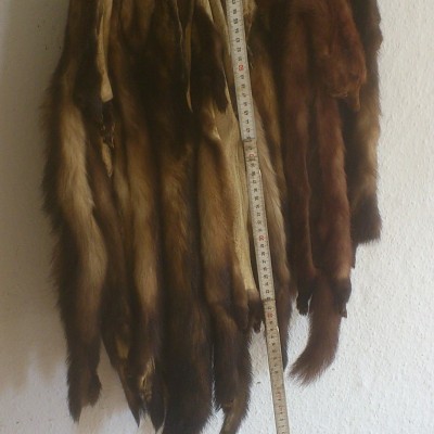 Gesammtpacket
mit Größenverhältniss