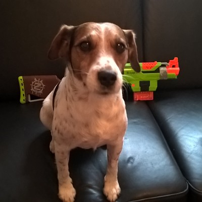 WP_20180319_11_14_10_Pro