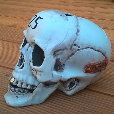 WP_20180501_20_02_47_Pro