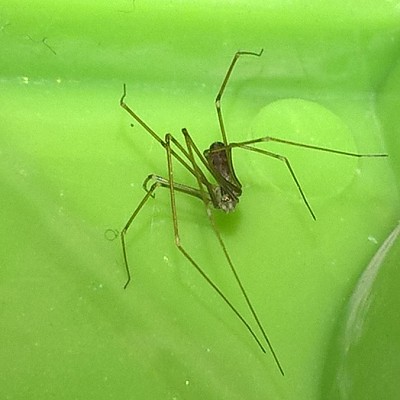 WP_20181217_15_59_19_Pro