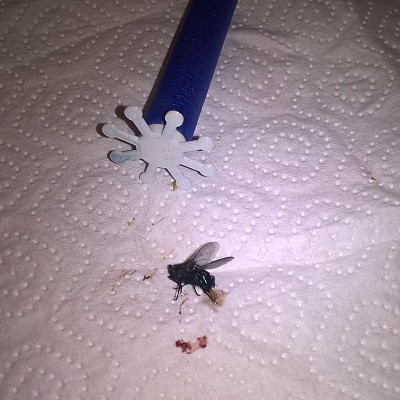 WP_20190529_19_18_05_Pro