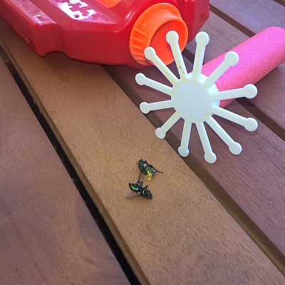 WP_20190601_14_05_17_Pro