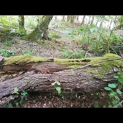 Blaster Arena Tour - YouTube