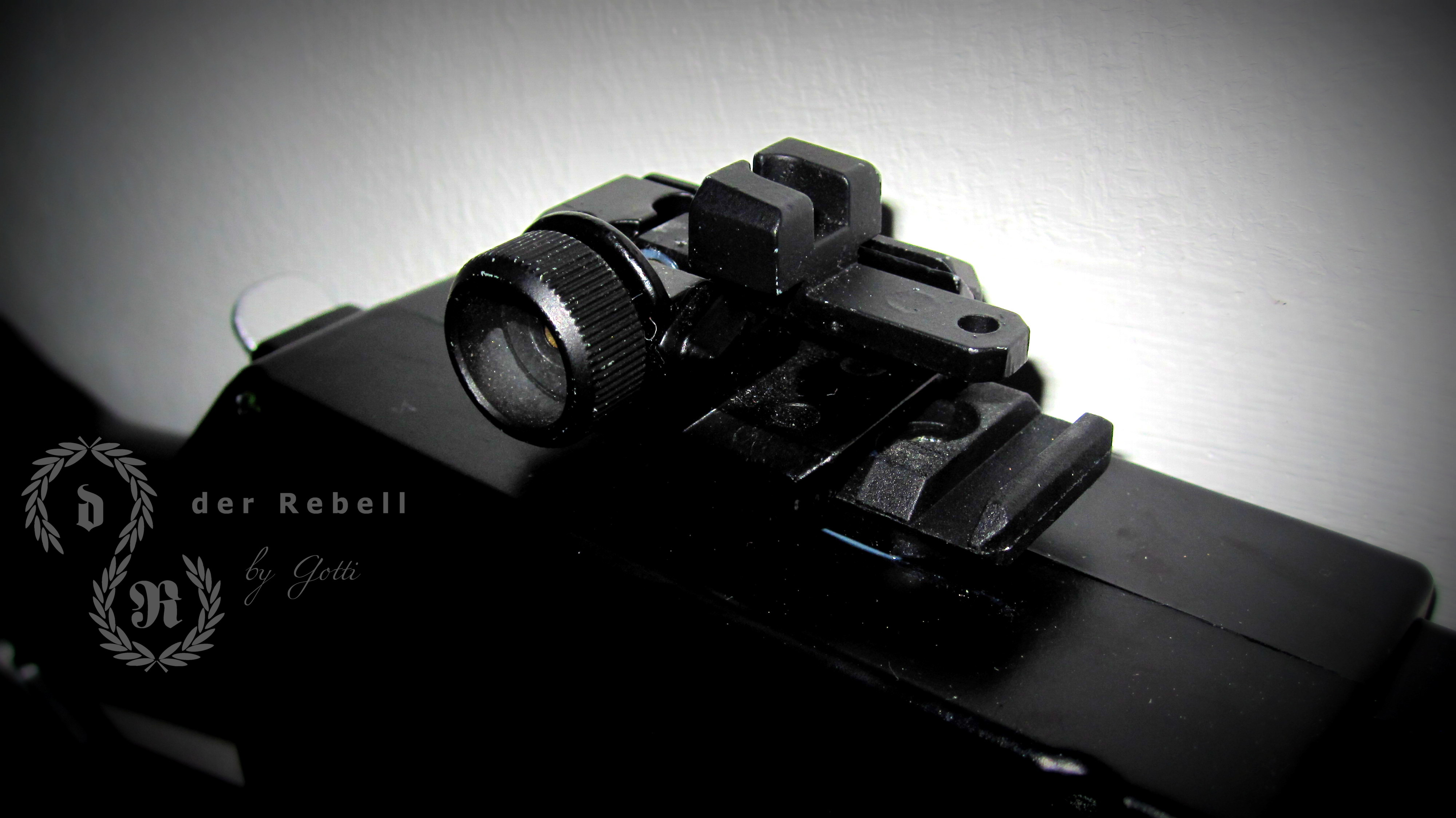 37. Rear sight
