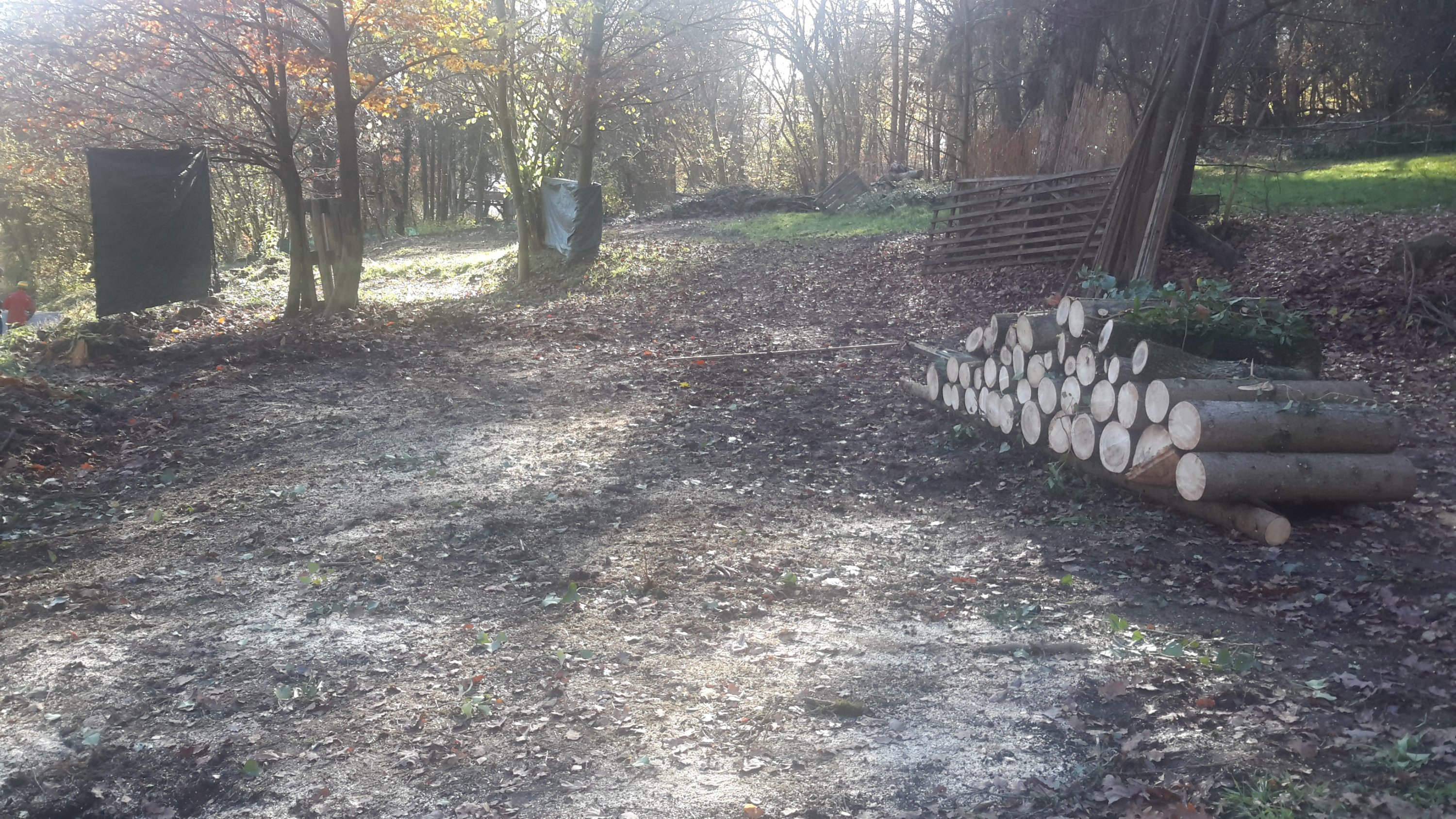 Dort, wo die Ziegen hausten...