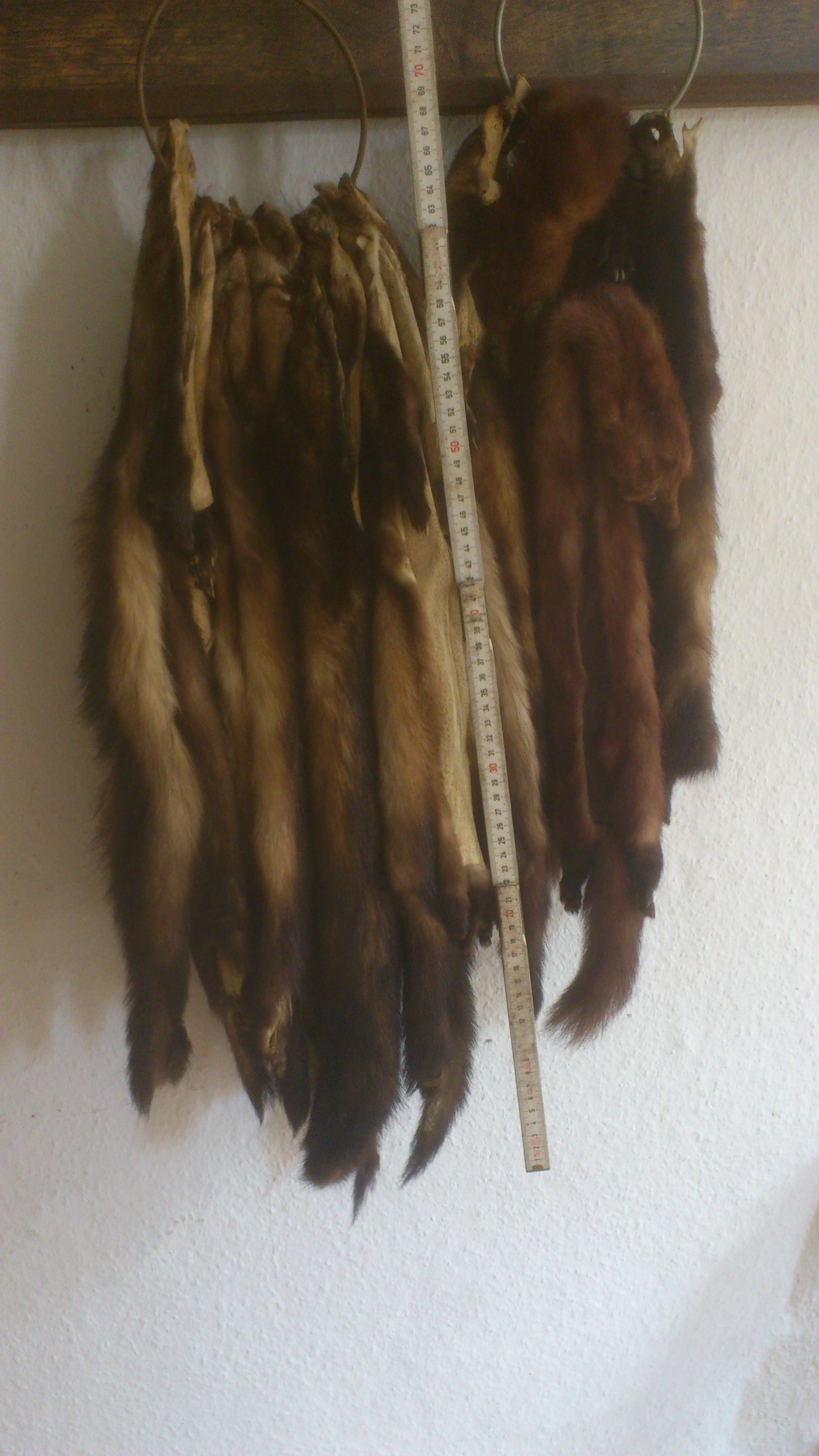 Gesammtpacket
mit Größenverhältniss