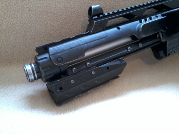 Raider Front mit gemoddetem Griff und Schiene