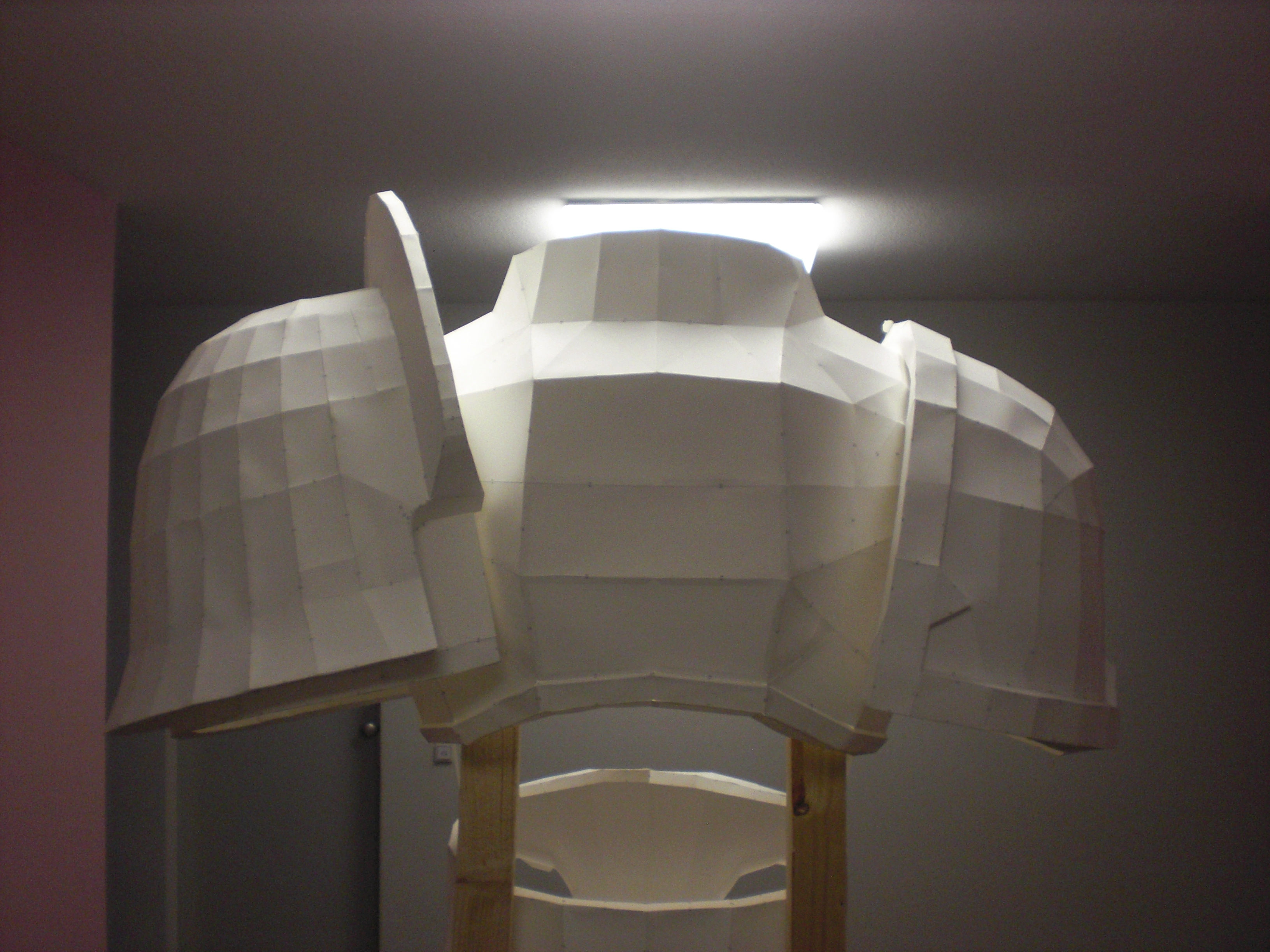 Thorso/ Schultern von hinten