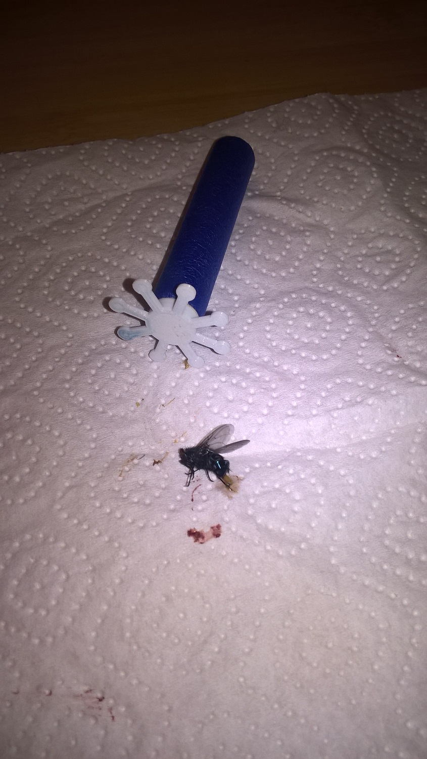 WP_20190529_19_18_05_Pro